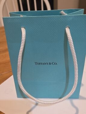 Tiffany & Co. Robin's-Egg Blue Small Shopping Bag with White Rope Handles